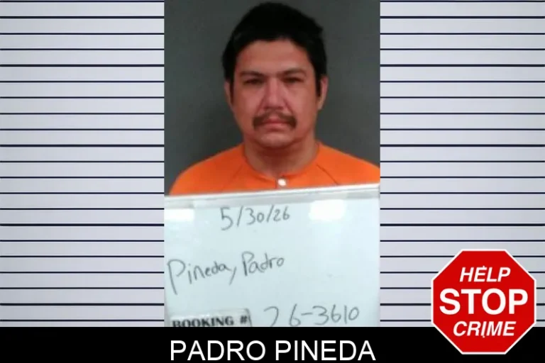 Padro Pineda