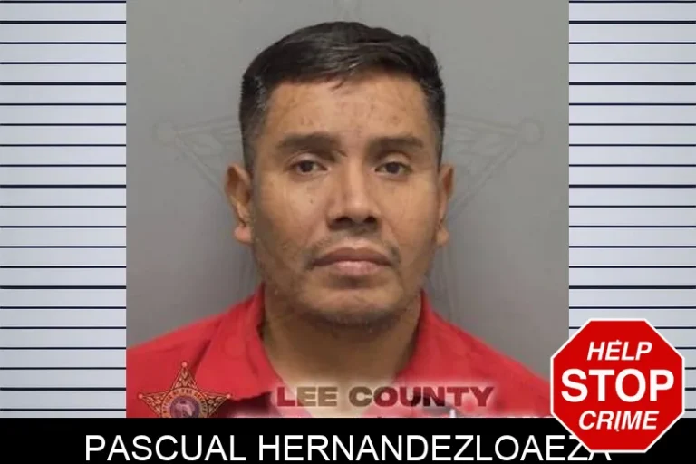 Pascual HernandezLoaeza
