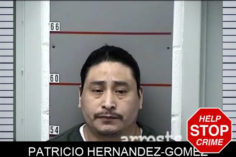 Patricio Hernandez-Gomez