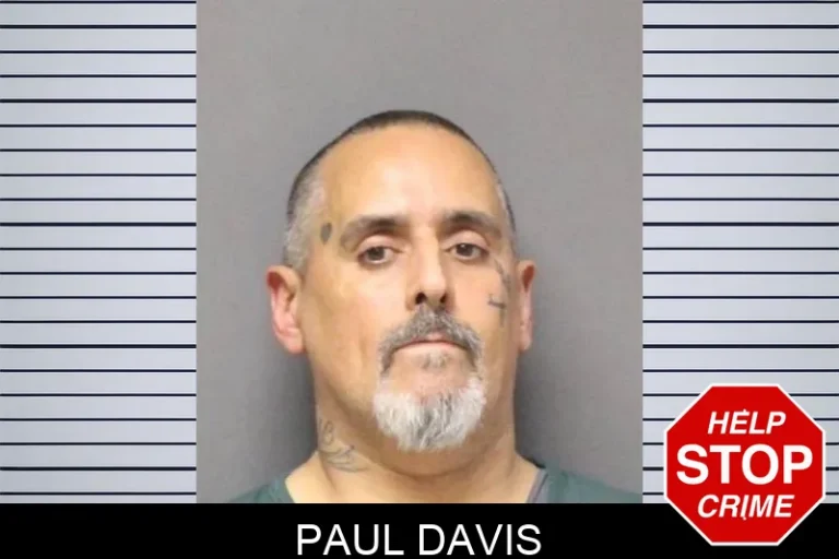 Paul Davis