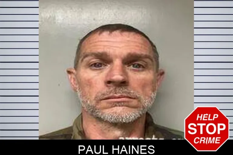 Paul Haines