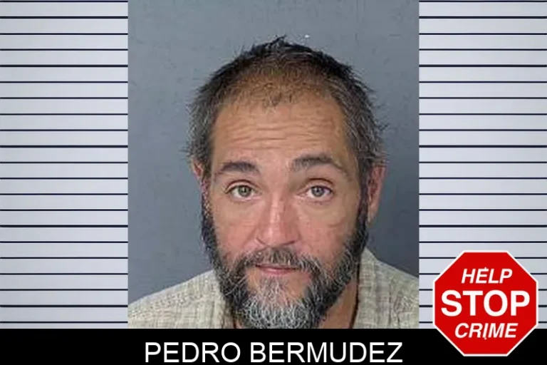 Pedro Bermudez