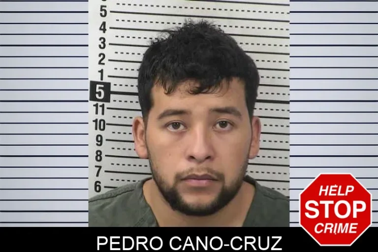 Pedro Cano-Cruz