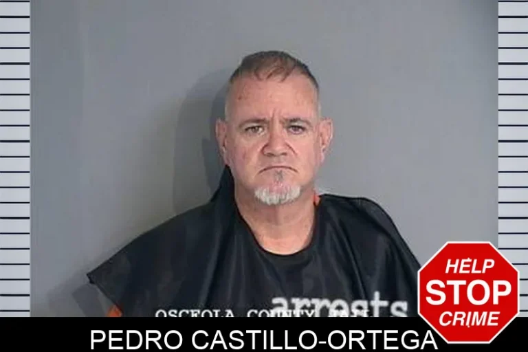 Pedro Castillo-Ortega