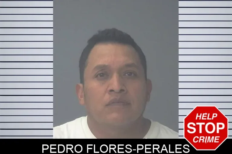 Pedro Flores-Perales