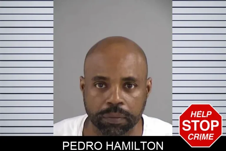 Pedro Hamilton