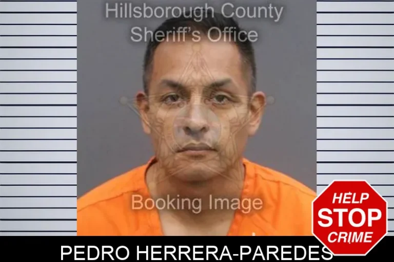 Pedro Herrera-Paredes
