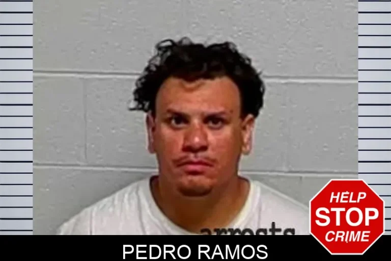 Pedro Ramos