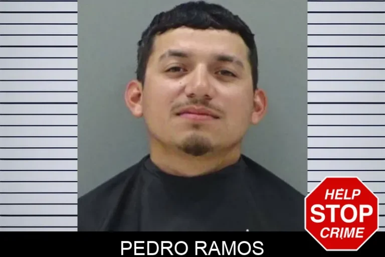 Pedro Ramos