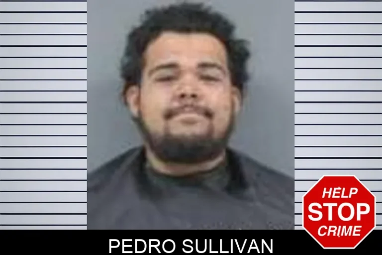 Pedro Sullivan