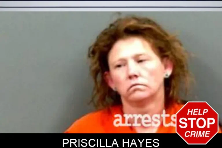 Priscilla Hayes