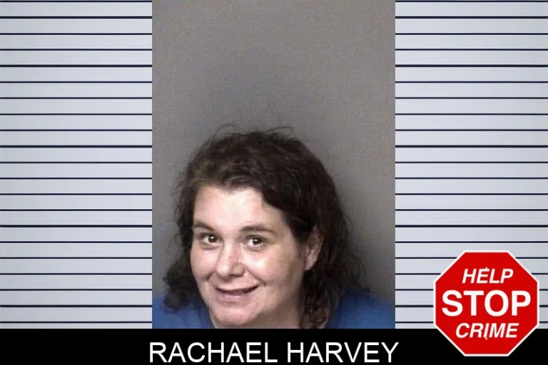 Rachael Harvey