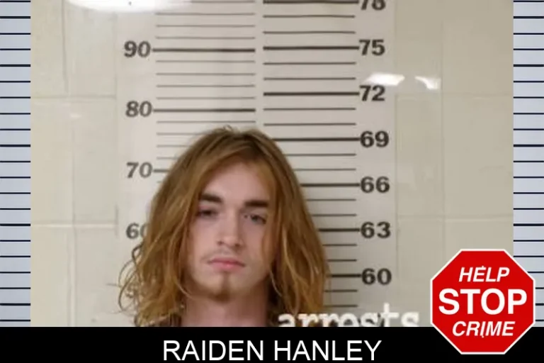 Raiden Hanley