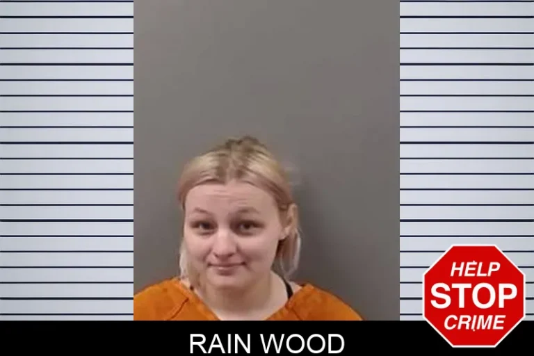 Rain Wood