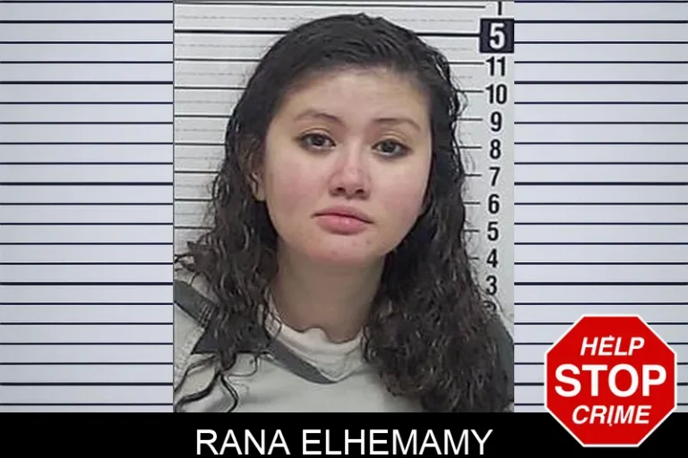 Rana Elhemamy