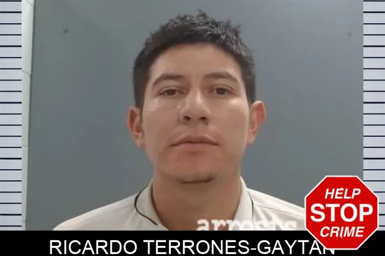 Ricardo Terrones-Gaytan