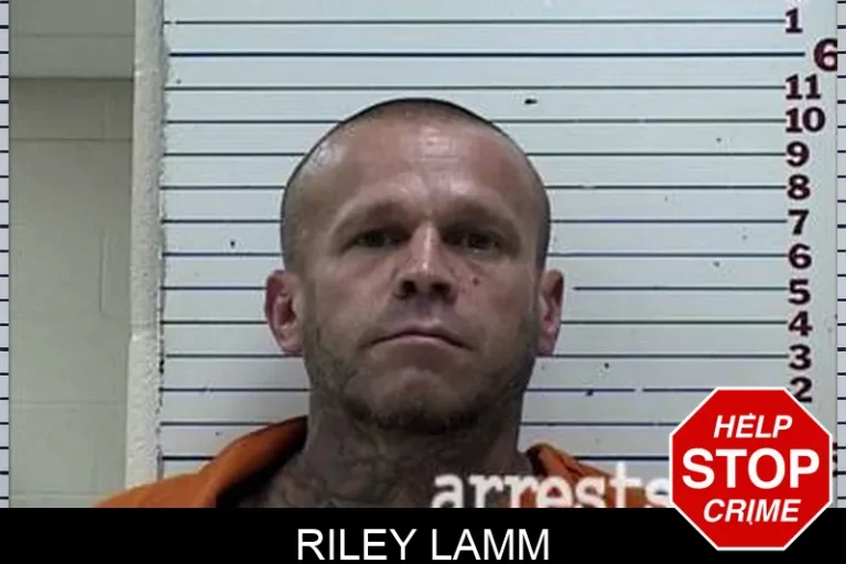 Riley Lamm