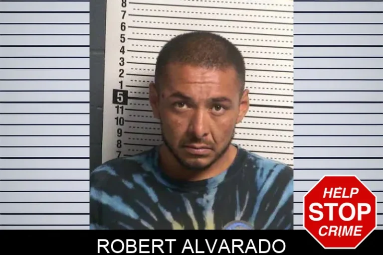 Robert Alvarado