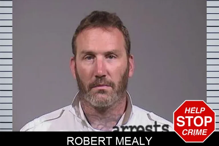 Robert Mealy