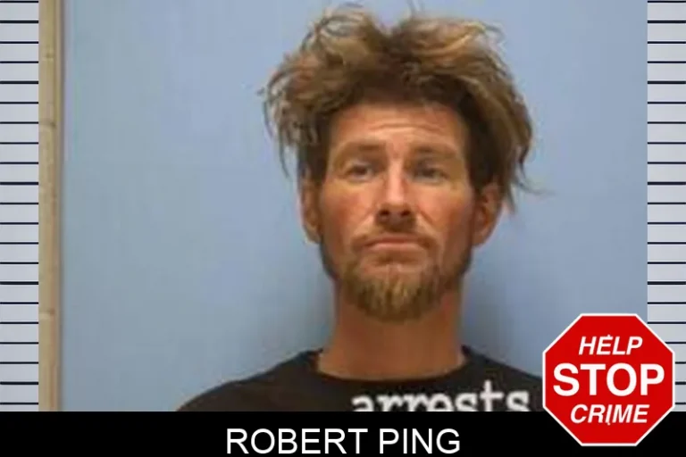 Robert Ping