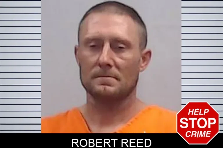 Robert Reed