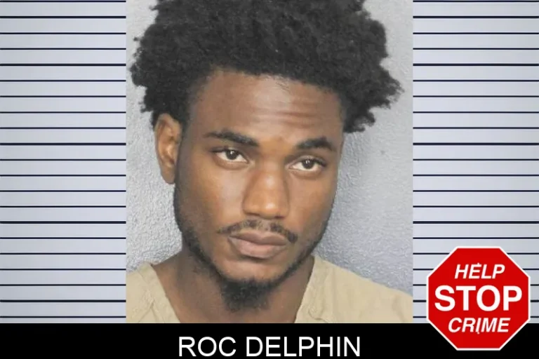 Roc Delphin