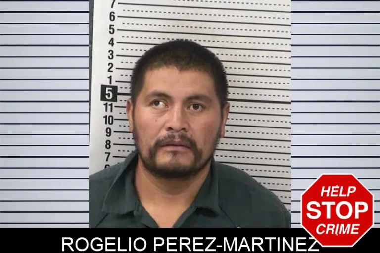 Rogelio Perez-Martinez