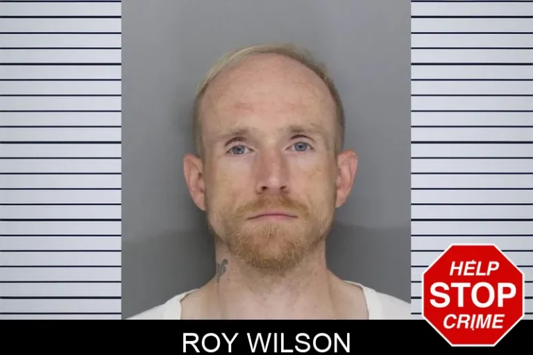Roy Wilson