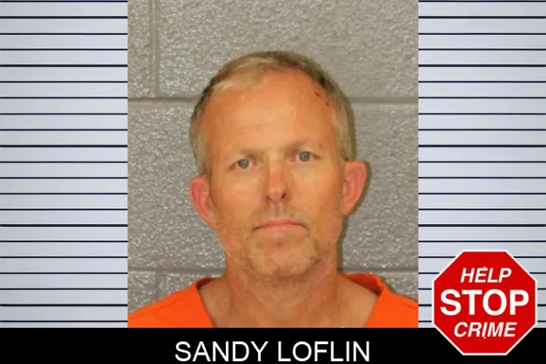 Sandy Loflin