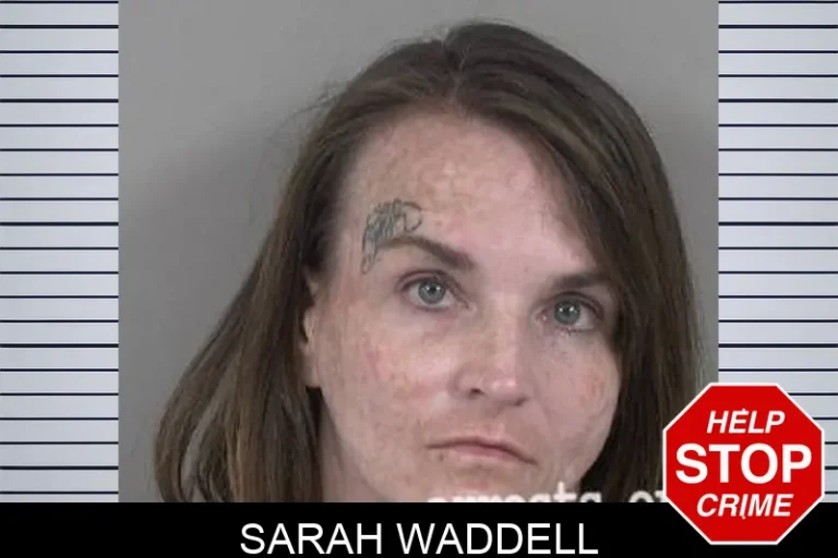 Sarah Waddell