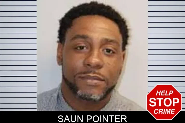 Saun Pointer