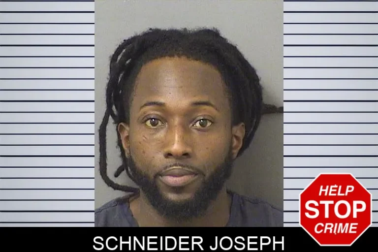 Schneider Joseph