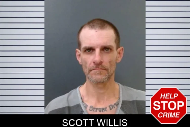 Scott Willis