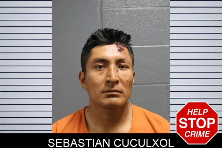 Sebastian CuculXol