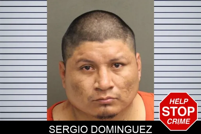 Sergio Dominguez