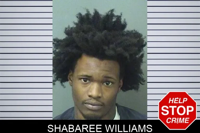 Shabaree Williams