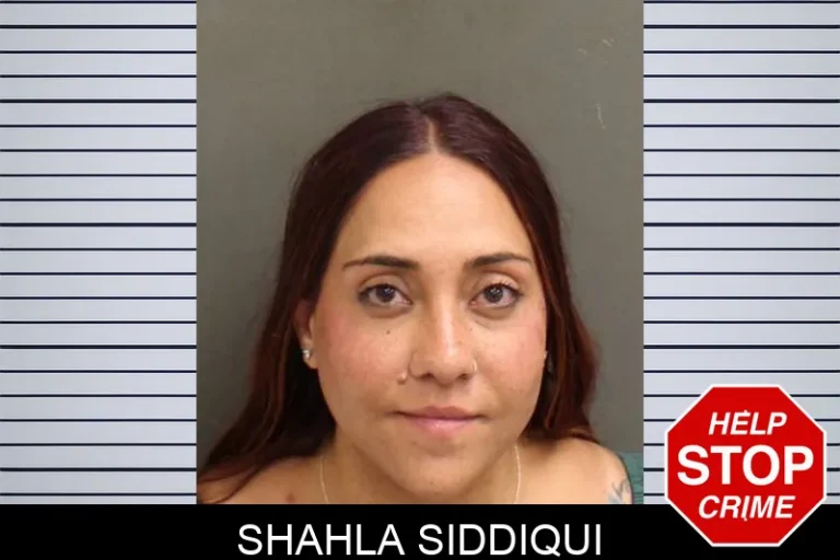 Shahla Siddiqui
