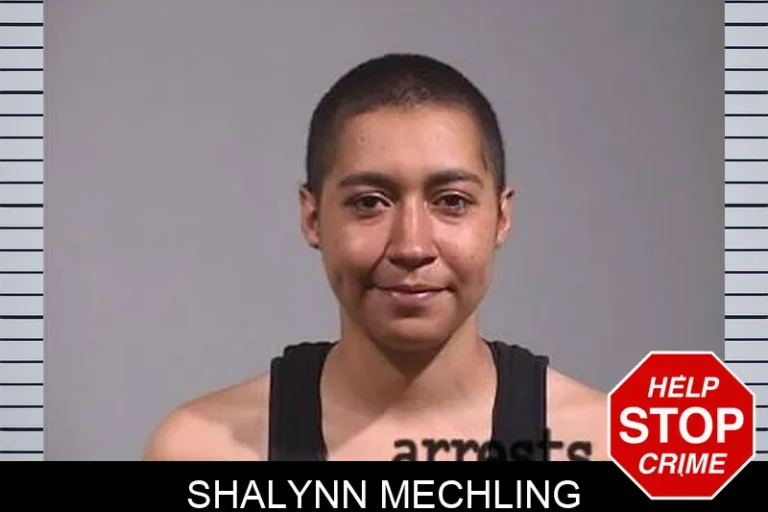 Shalynn Mechling