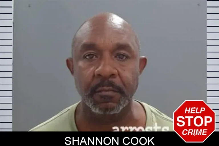 Shannon Cook
