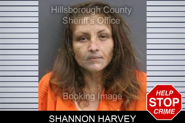 Shannon Harvey