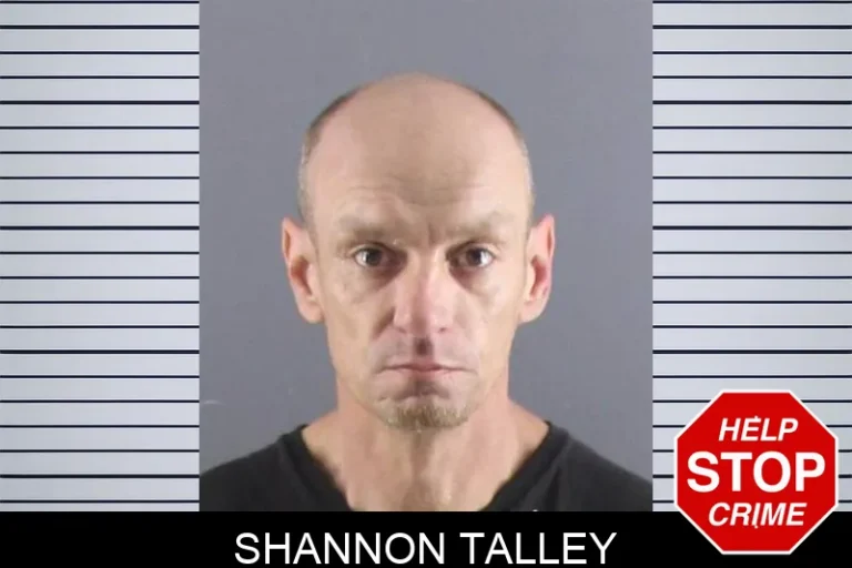 Shannon Talley