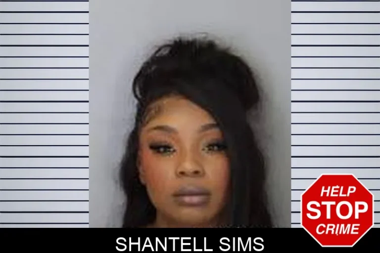 Shantell Sims