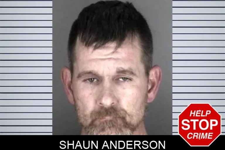 Shaun Anderson