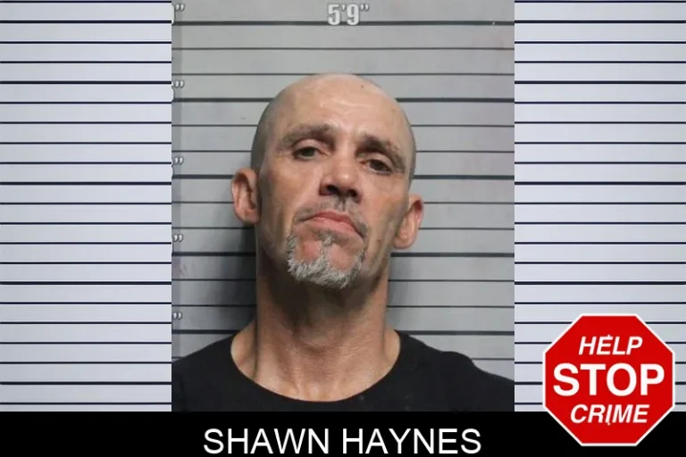 Shawn Haynes