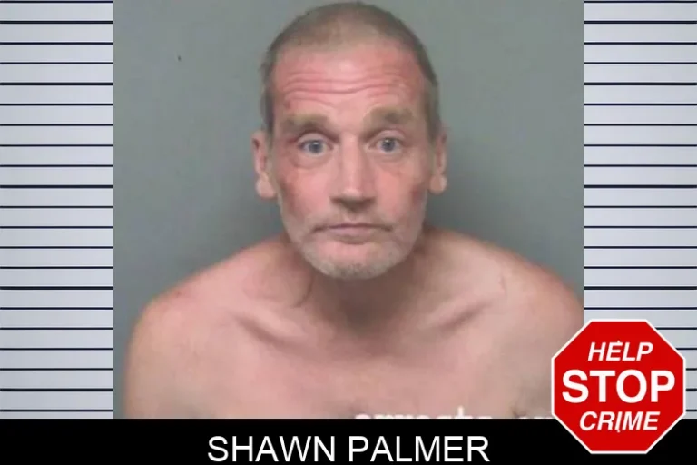 Shawn Palmer