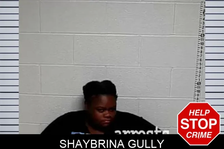 Shaybrina Gully