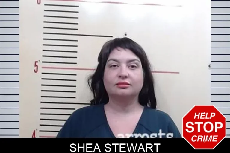 Shea Stewart