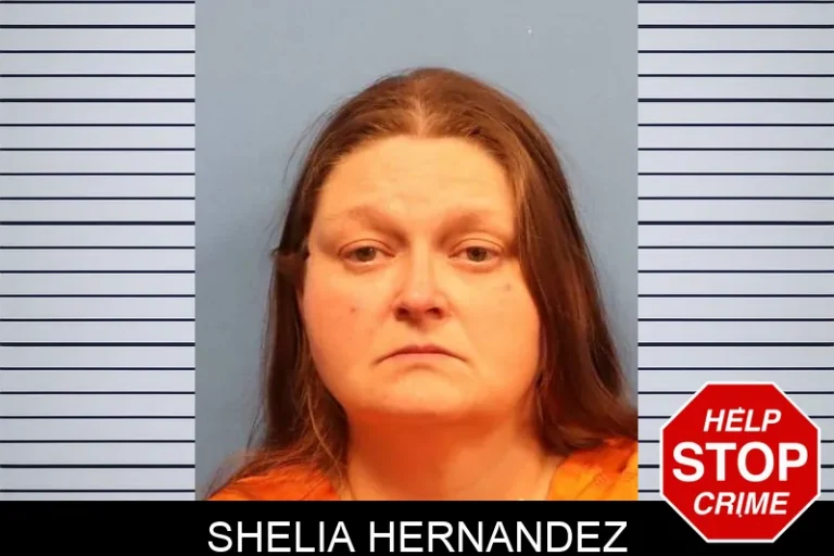 Shelia Hernandez