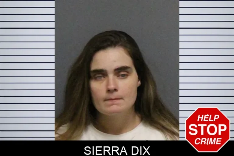 Sierra Dix