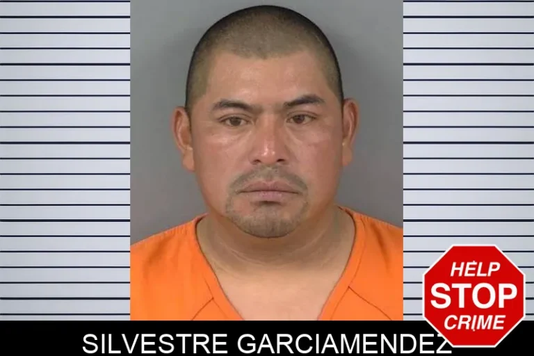 Silvestre Garciamendez